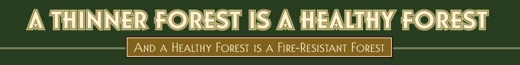 A THINNER FOREST IS A HEALTHY FOREST